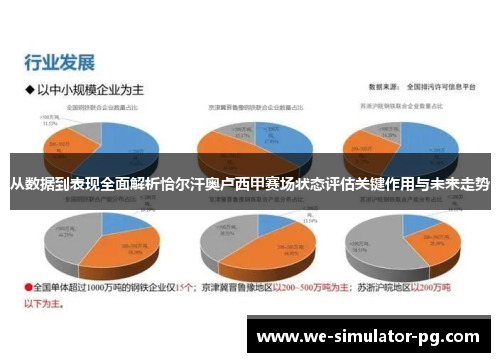 从数据到表现全面解析恰尔汗奥卢西甲赛场状态评估关键作用与未来走势